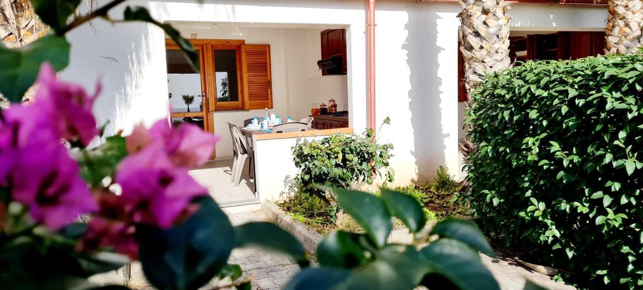 Ninfa Sul Mare Apartments 50 M E T R I Dal Mare Parcheggio Gratuito Custodito Capo Vaticano Kültér fotó
