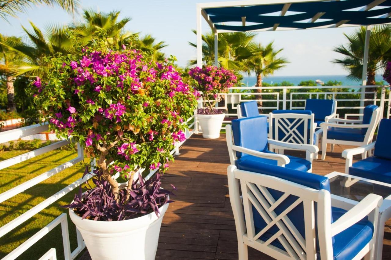Ninfa Sul Mare Apartments 50 M E T R I Dal Mare Parcheggio Gratuito Custodito Capo Vaticano Kültér fotó